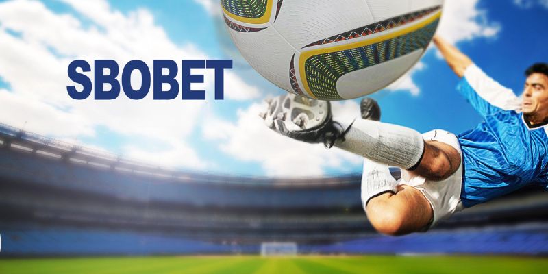 Sbobet ok365 Là Gì? 